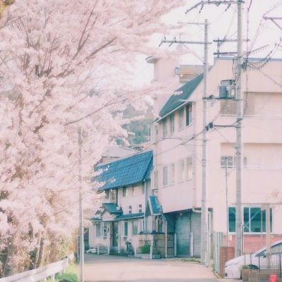 牧牛词